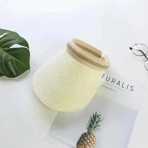 Sun visor