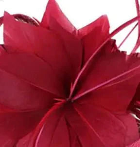 Fascinator Fantasy Hat