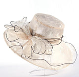 Elegant Hat