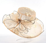 Elegant Hat